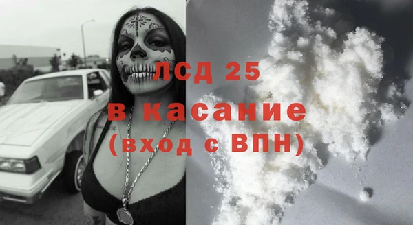 гашик Дмитров