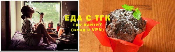 гашик Дмитров