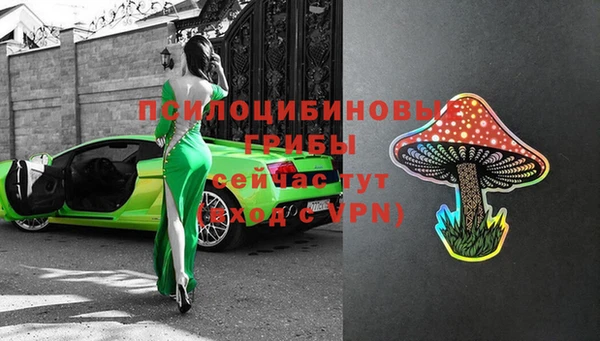 первитин Дмитровск