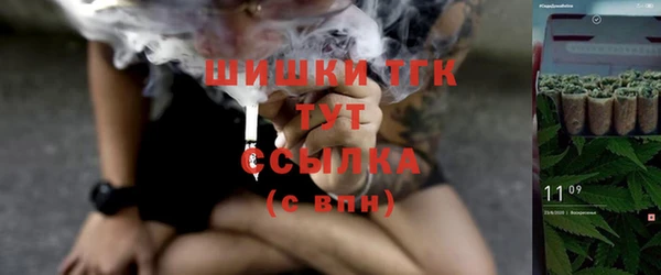гашик Дмитров
