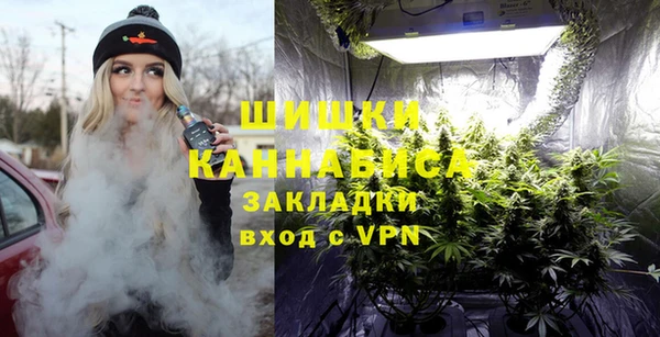 гашик Дмитров
