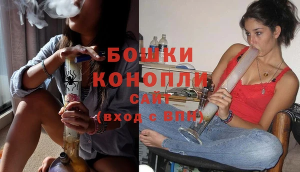 гашик Дмитров
