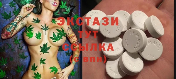 гашик Дмитров