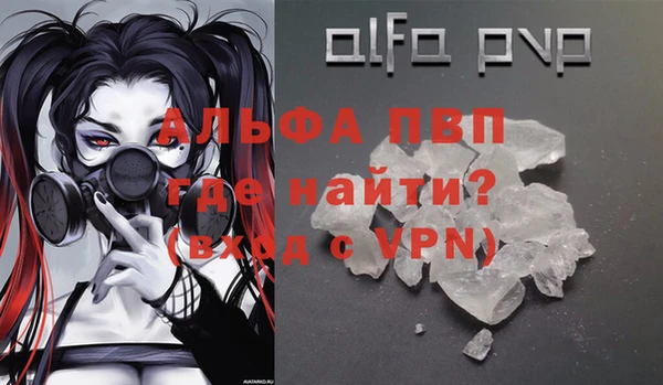 гашик Дмитров