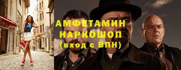 гашик Дмитров