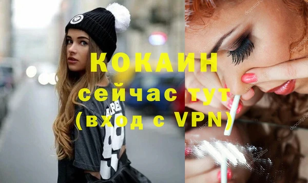 гашик Дмитров