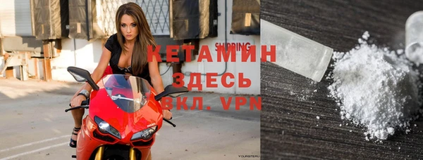 гашик Дмитров