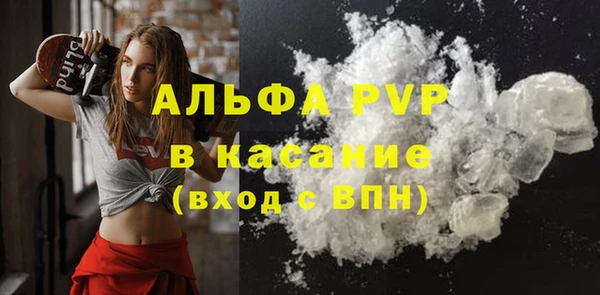 гашик Дмитров