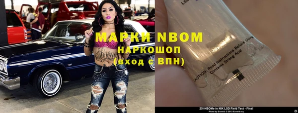 гашик Дмитров