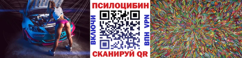 Купить где  Багратионовск  Галлюциногенные грибы мухоморы 